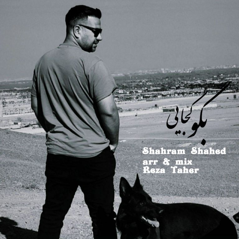 دانلود آهنگ شهرام شاهد بگو کجایی